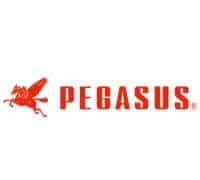 Pegasus